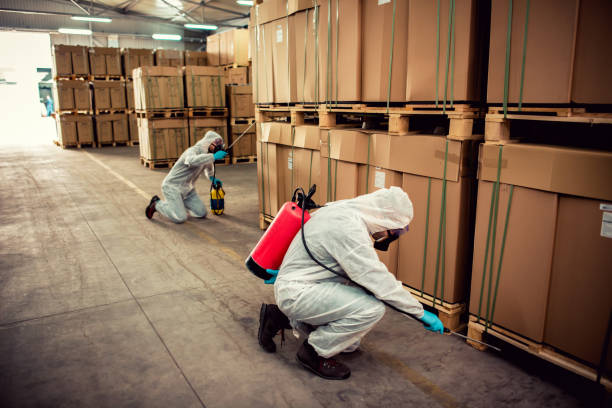 Best Rat Extermination Near Me  in Eastern Goleta Valley, CA